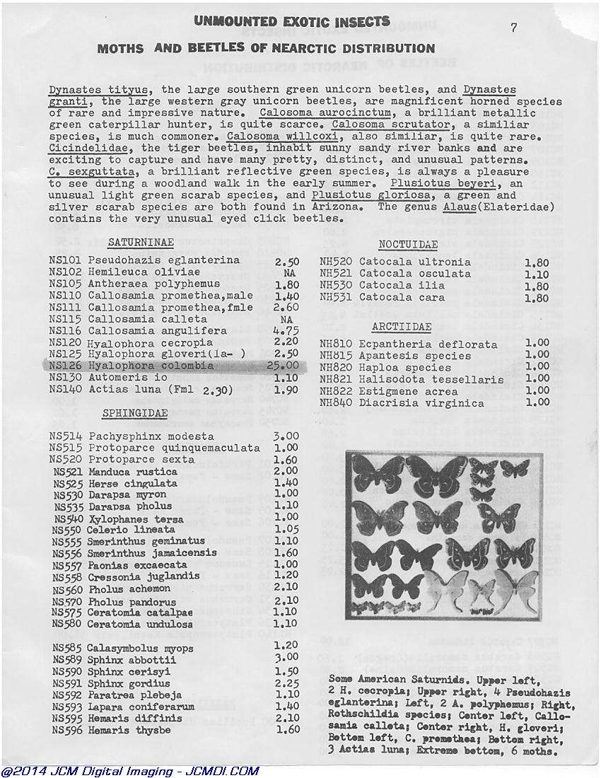 Complete Scientific 1977 Catalog page scan